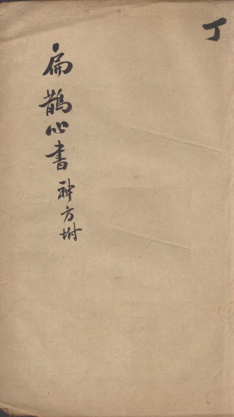 扁鹊心书  丁